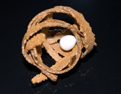 Z6G_7497r.jpg